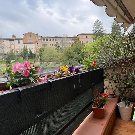 Nido Nei Pispini * Siena