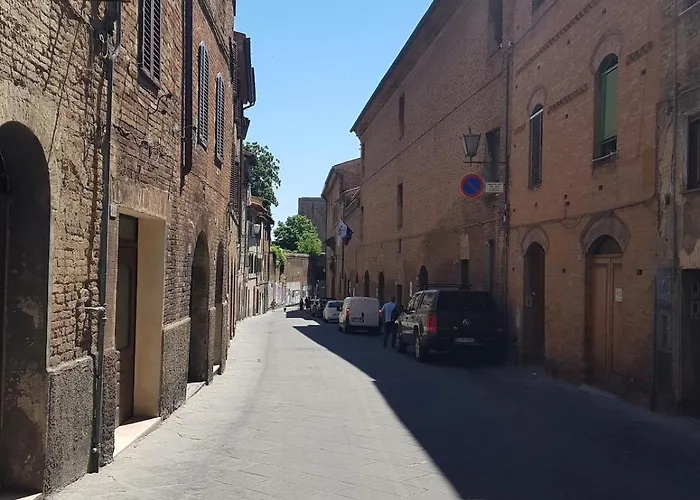 Nido Nei Pispini